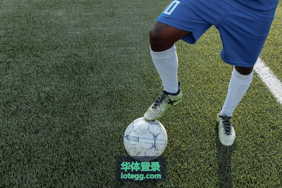 远程团队通过华体登录进入授权系统